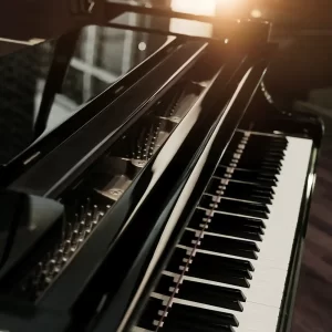 Expert piano movers in Denver